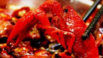 水產(chǎn)養(yǎng)殖溯源系統(tǒng) 讓消費者放心的農產(chǎn)品保障