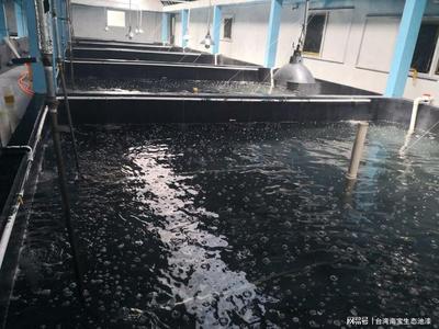 工廠化水產養殖 科技引領下的現代水產品生產方式