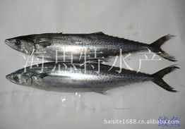 榮成市海思特水產品冷凍廠 精選冷凍粗加工水產品產品列表