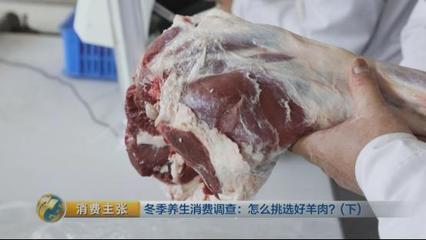 看顏色、聞味道，正宗的自然放牧草原羊肉這樣辨別！